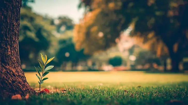 science_botany